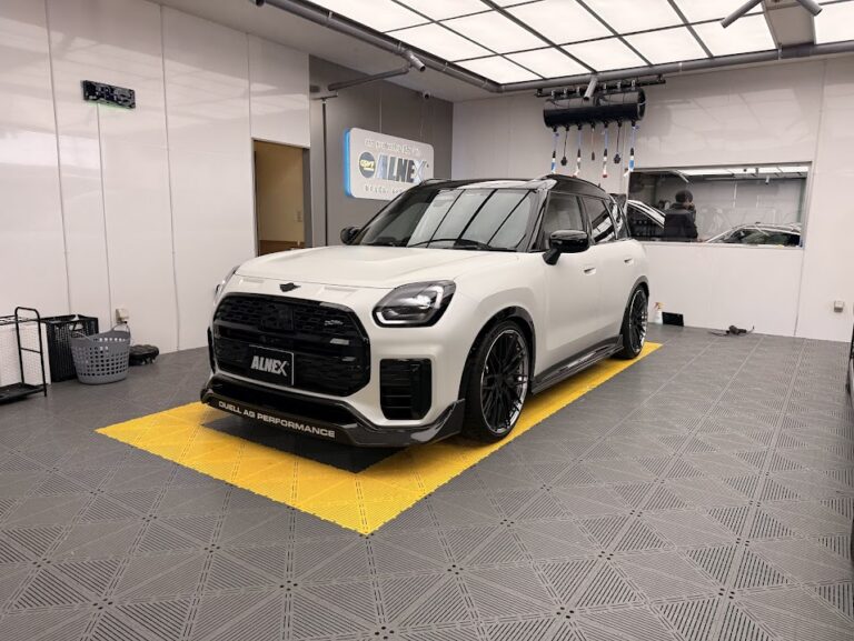 テスラ モデルる カ-フィルム 蒟工